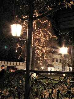 Праздничная обитель ночью. Фото Дениса Домбровского